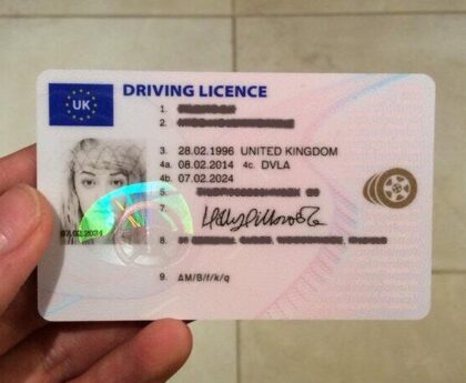 Fake Driving Licence