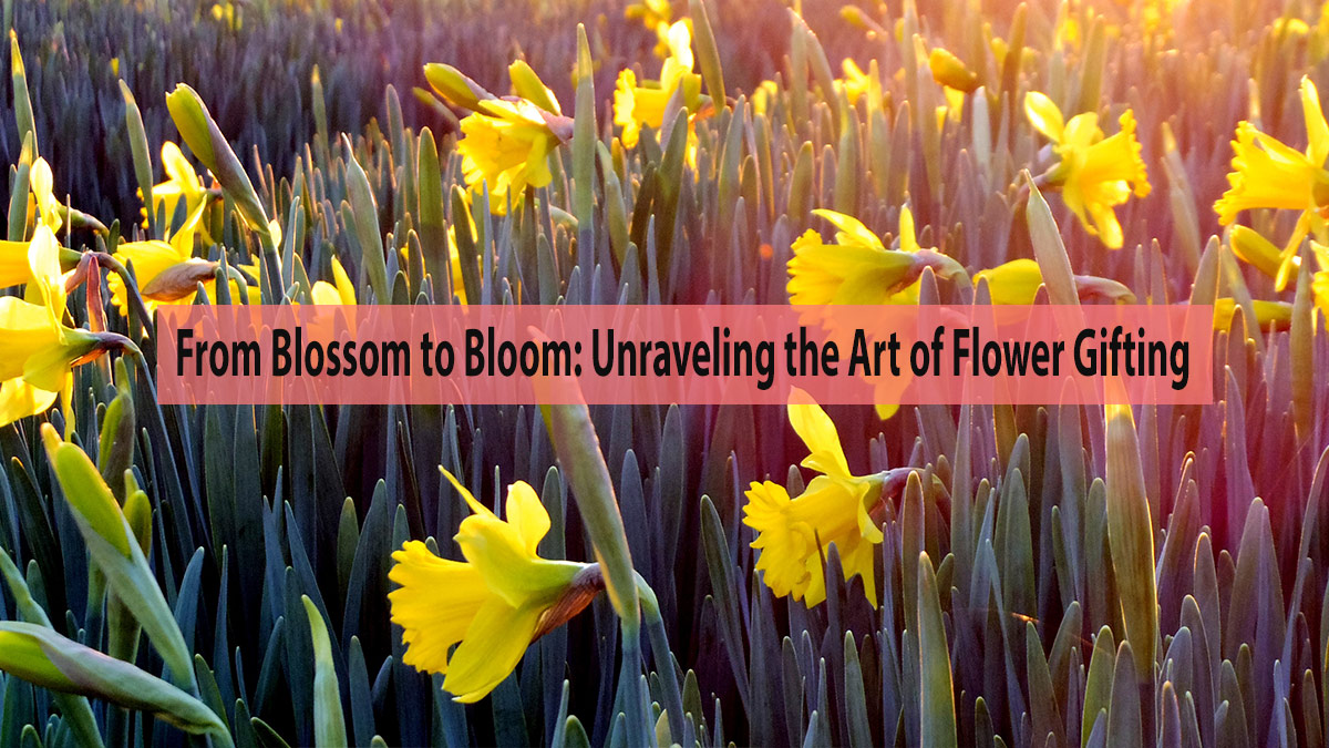 From Blossom to Bloom: Unraveling the Art of Flower Gifting