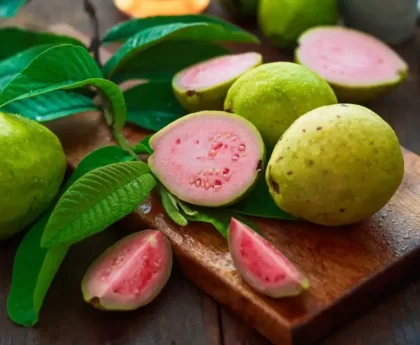 Guava Is Good For Your Health