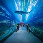 Dubai mall aquarium tickets