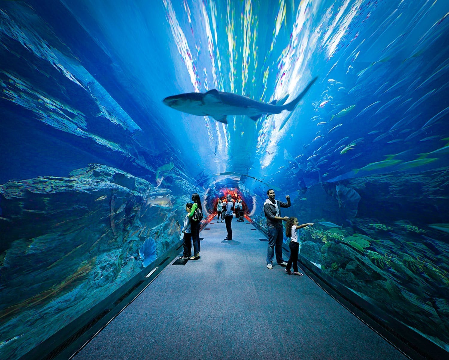 Dubai mall aquarium tickets