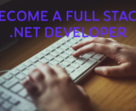 Full Stack .NET Developer